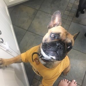 Meet your Posher, Sondra